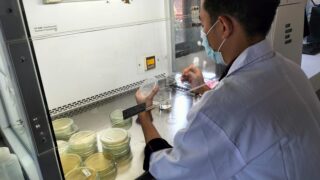 Foto Tim Berada di Lab memakai jas putih sedang melakukan Purifikasi Bakteri