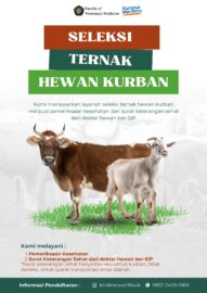 Foto Flyer Pemeriksaan Hewan Kurban